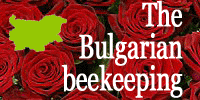 The Bulgarian beekeeping
