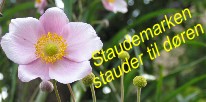 StaudeMarken v/ Tina Mller  -  Tranumvej 34, Birkelse  -  9440 Aabybro