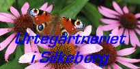 Krydderurter, Lgeplanter, Duftgeranier, Blomster & Grnsager. Bger om urter. Buskhedevej 43, Kragelund, 8600 Silkeborg
