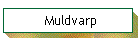 Muldvarp