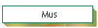 Mus